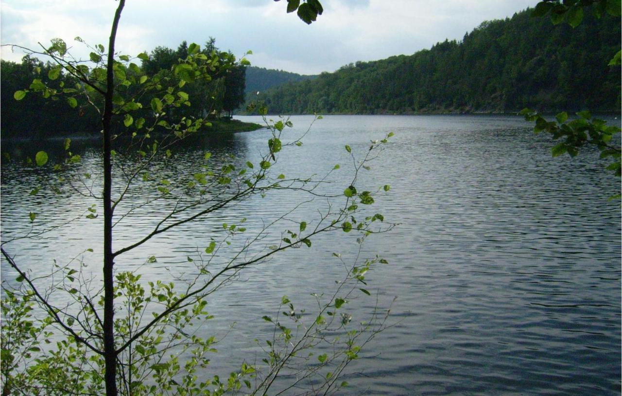 Hoeppis Huette R Bad Lobenstein Exteriör bild